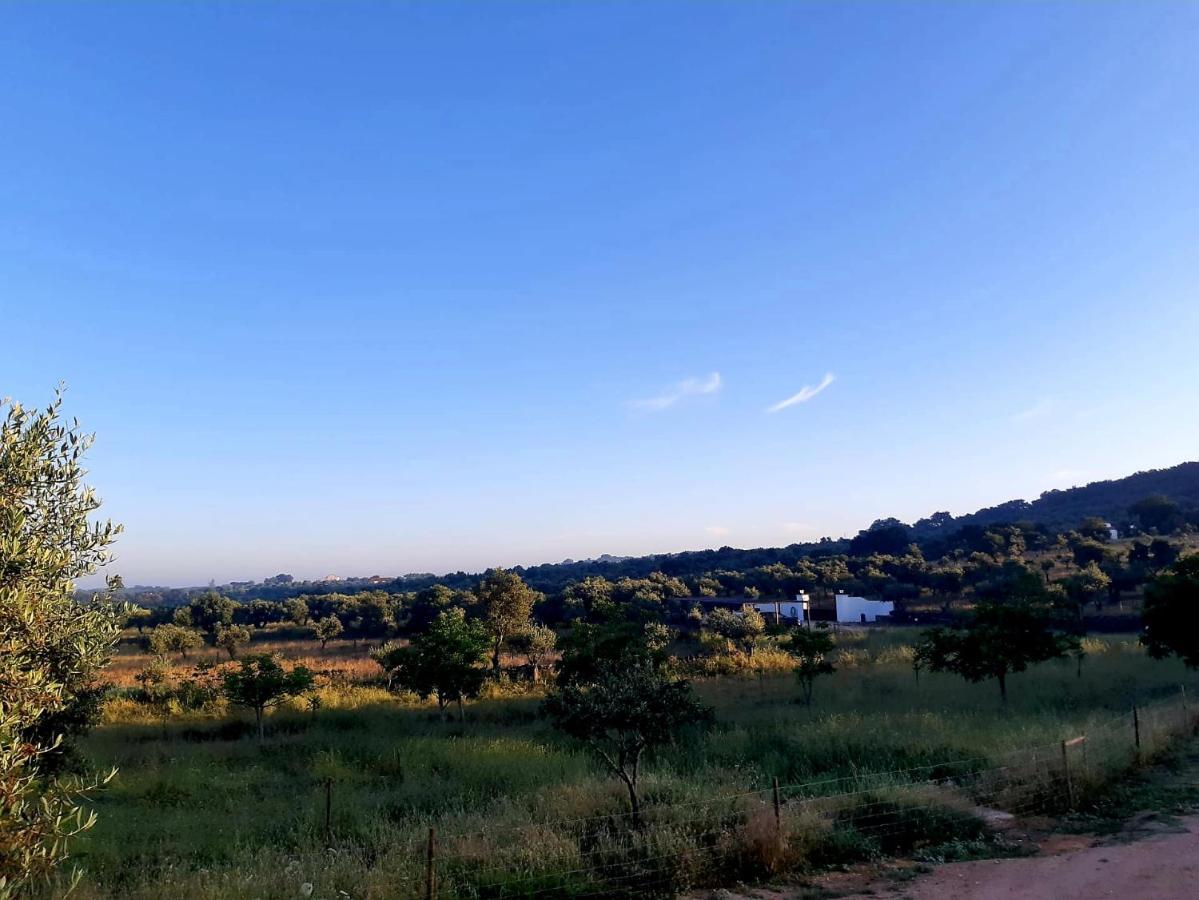 Quinta Da Soneca Διαμέρισμα Alandroal Εξωτερικό φωτογραφία