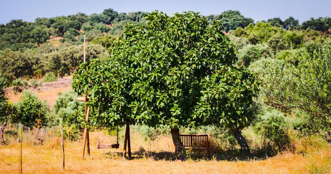 Quinta Da Soneca Διαμέρισμα Alandroal Εξωτερικό φωτογραφία